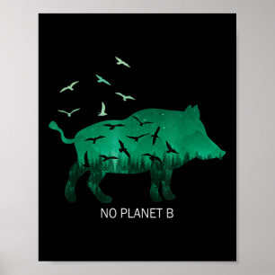 Affiche Aucune planète B Protection De l'environnement de