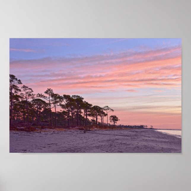 Affiche Audubon Bird Sanctuary Beach à Dawn, Alabama (Devant)