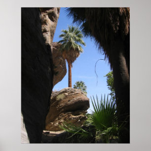 Affiche Augmentant en canyon indien, Palm Springs, CA,