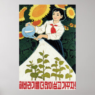 Affiche Augmentons encore les tournesols ! Agriculture nor