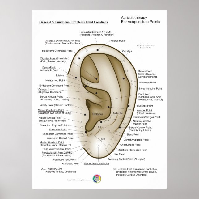 Affiche Auriculothérapie Acupuncture de l'oreille (Devant)