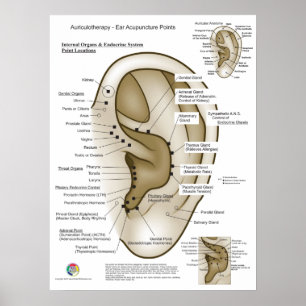 Affiche Auriculothérapie Acupuncture de l'oreille