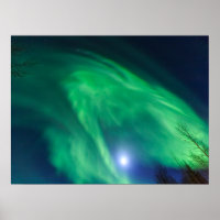 aurora boréale | Fairbanks
