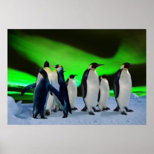 Affiche Aurora borealis et pingouins