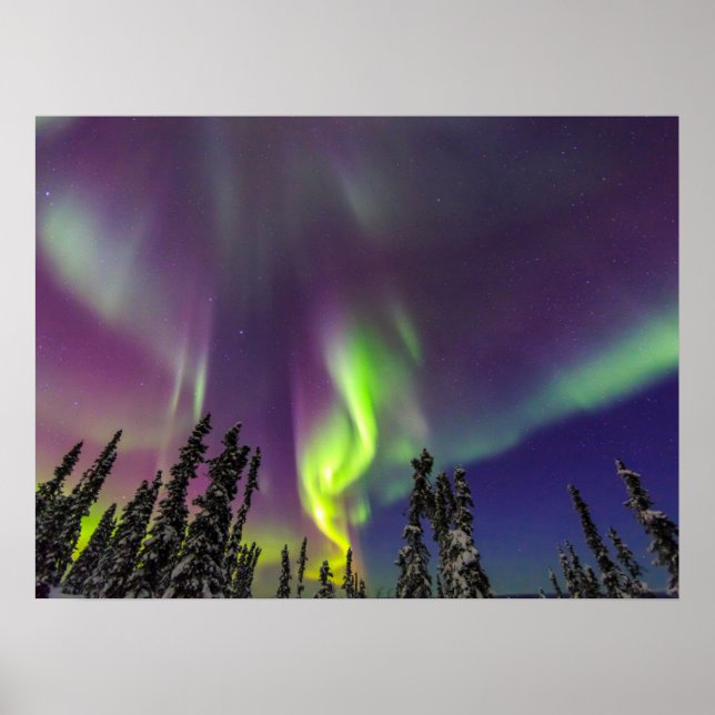Affiche Aurora Borealis | Fairbanks, Alaska (Devant)