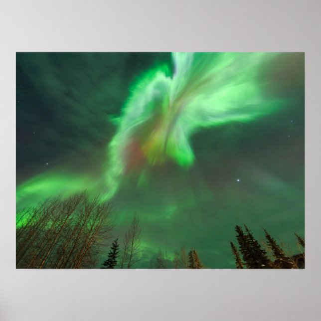 Affiche Aurora Borealis Northern Lights | Fairbanks (Devant)