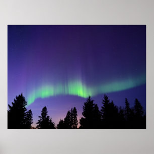 Affiche Aurore Boréale & Arbres Manitoba, Canada