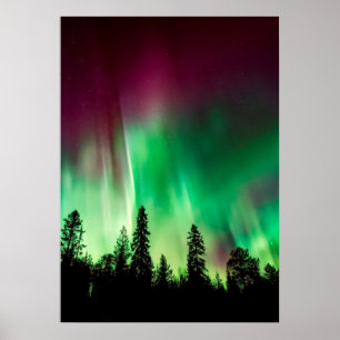 Affiche Aurore boréale lumières du nord