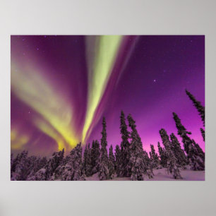 Affiche Aurore Boréale Lumières du Nord Fairbanks Alaska