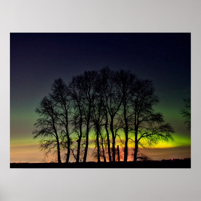 Affiche Aurores boréales | Manitoba Canada Grande Pointe (Devant)