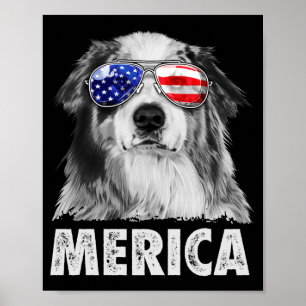 Affiche Aussie berger australien 4 juillet merica