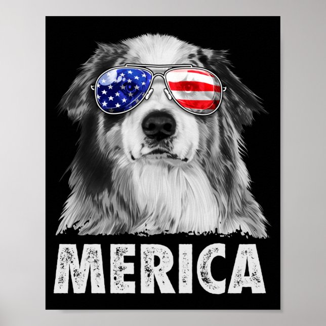 Affiche Aussie berger australien 4 juillet merica (Devant)