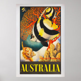 Affiche Australia, the Great Barrier Reef by Eileen Mayo