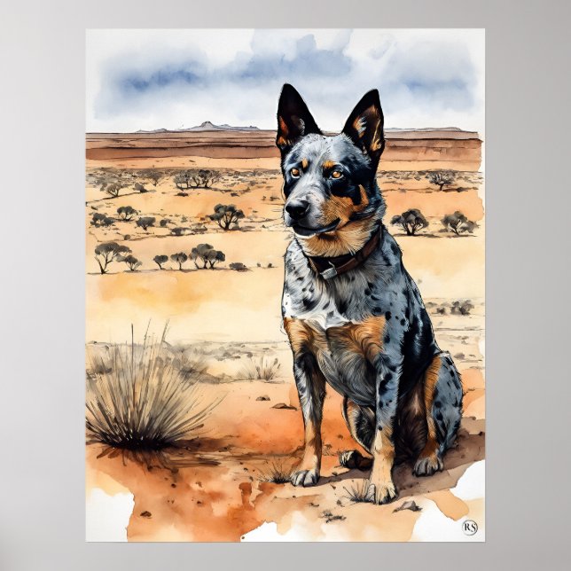 Affiche Australian Cattle Dog - Chien Art Imprimer (Devant)