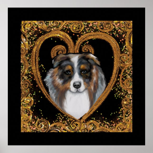 Affiche Australian Shepherd   (Devant)
