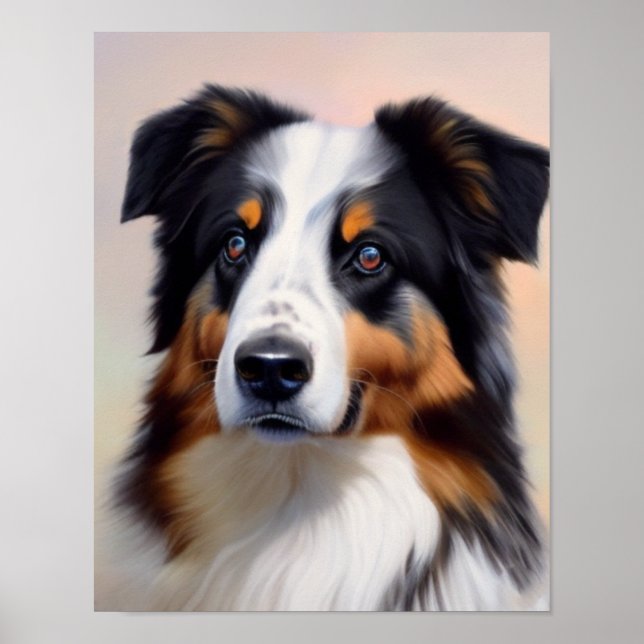 Affiche Australian Shepherd (Devant)