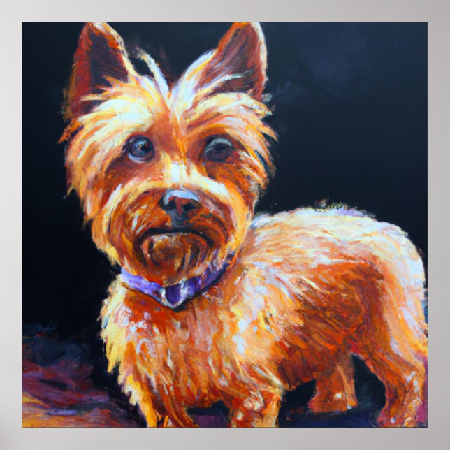 Affiche Australian Silky Terrier - Portrait de chien (Devant)