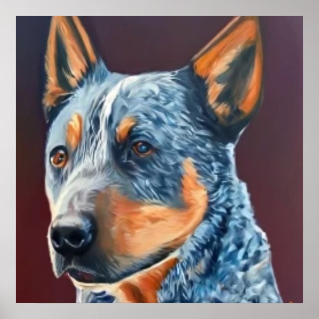 Affiche Australian Stumpy Tail Cattle Dog - Portrait de ch (Devant)