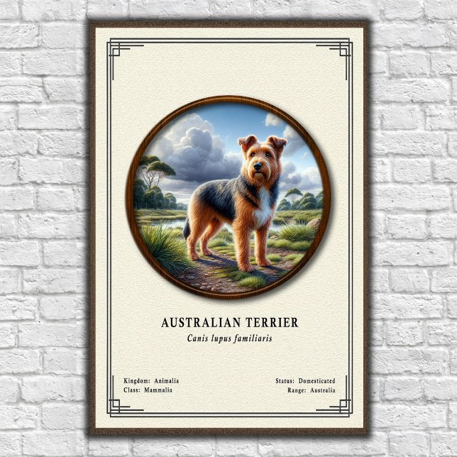 Affiche Australian Terrier Zoology Series (Créateur téléchargé)