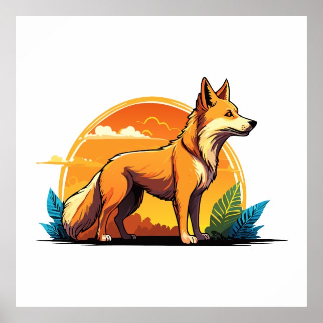 Affiche Australian wild dog dingo (Devant)