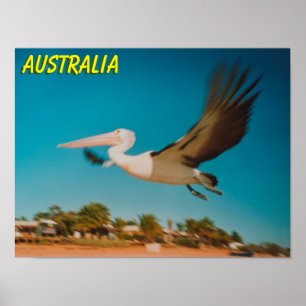Affiche Australie