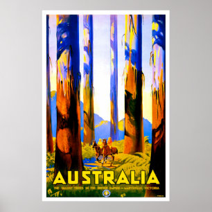 Affiche Australie, grands arbres de Marysville, Victoria