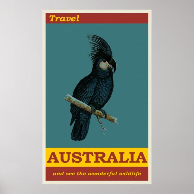 Affiche Australie Noir Cockatoo Vintage voyage d'oiseaux (Devant)