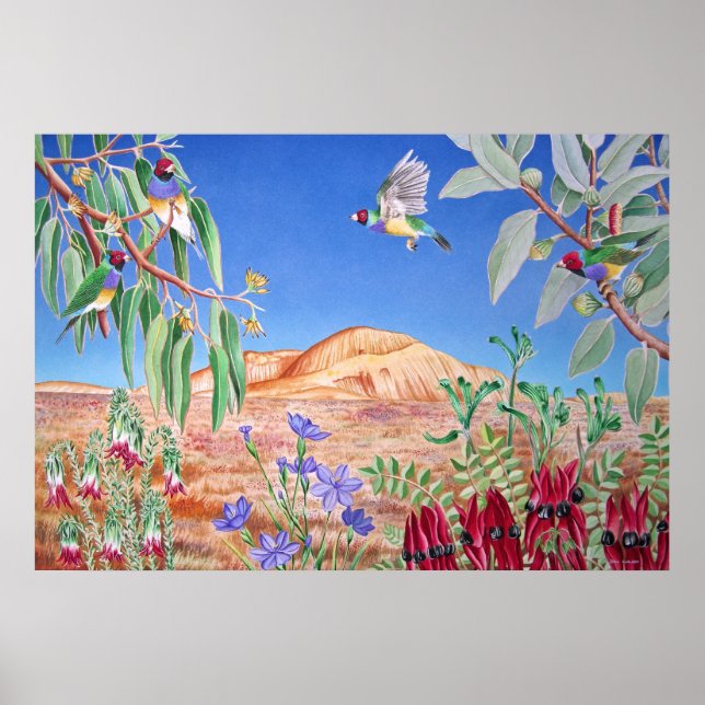 Affiche Australie Outback (Devant)