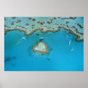 Affiche Australie, Queensland, Îles Whitsunday,