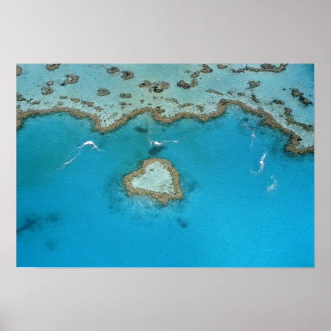 Affiche Australie, Queensland, Îles Whitsunday, (Devant)