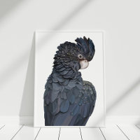 Affiche australienne de Cockatoo Noir à queue roug