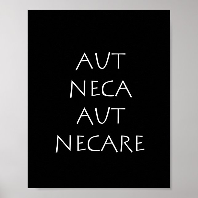 Affiche Aut neca aut necare (Devant)