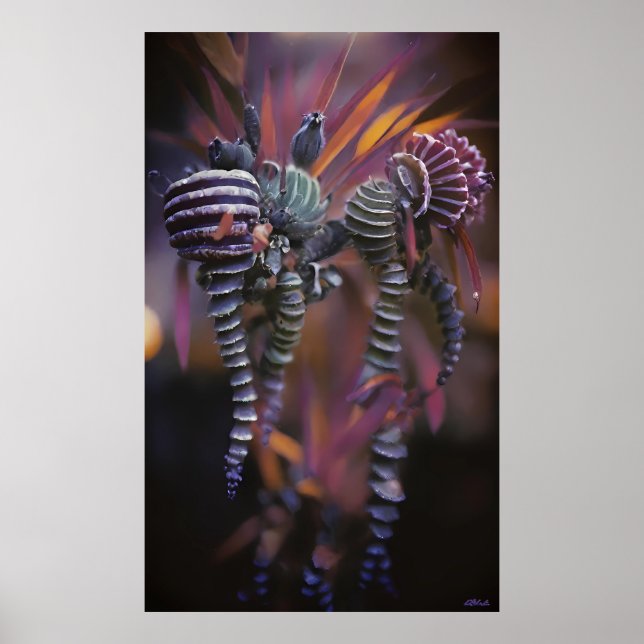 Affiche Auténtico (Devant)