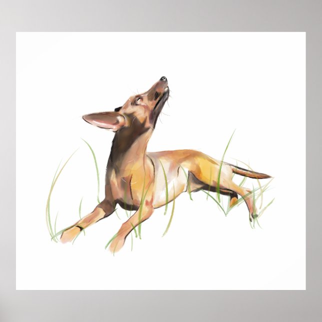 Affiche Autocollant Miniature Pinscher (Devant)