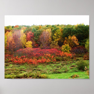 AFFICHE AUTOMNE