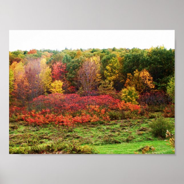AFFICHE AUTOMNE (Devant)