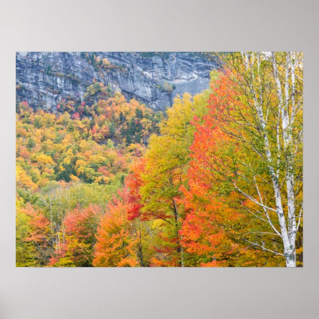Affiche Automne à Grafton Notch State Park, Maine (Devant)