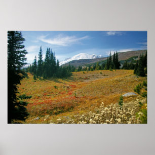 Affiche Automne à plus pluvieux