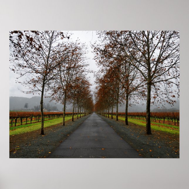 Affiche Automne à Sainte-Hélène (Devant)