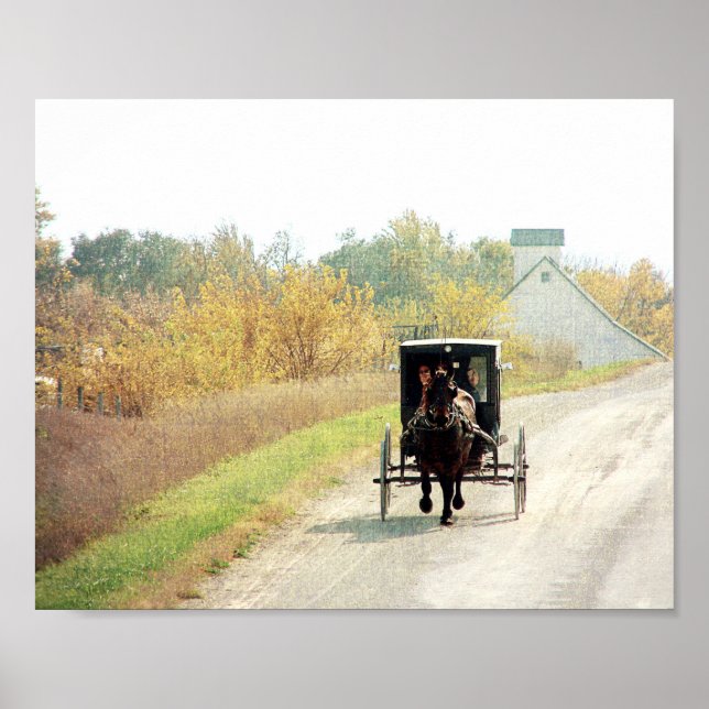 Affiche Automne Amish Horse et Buggy (Devant)