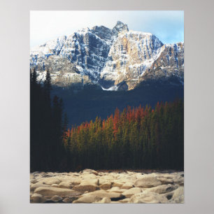 Affiche Automne Athabasca