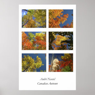 Affiche Automne canadien