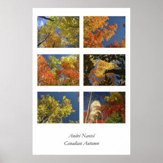 Affiche Automne canadien
