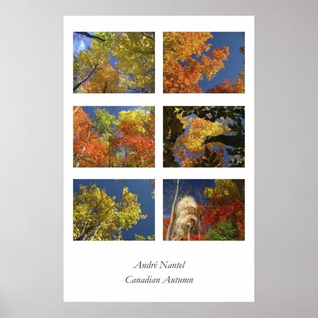 Affiche Automne canadien (Devant)