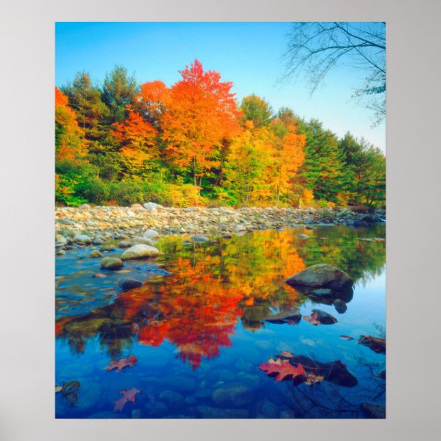 Affiche Automne Couleurs reflétant dans un ruisseau du Ver (Devant)