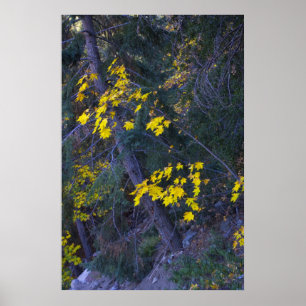 Affiche Automne dans les montagnes 4