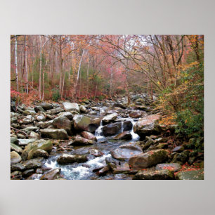 Affiche Automne dans les Smokies