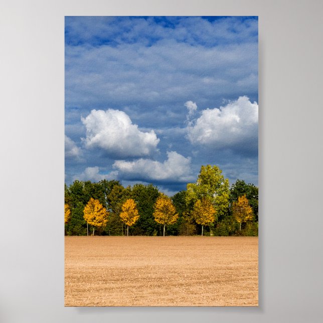 Affiche Automne d'or (Devant)