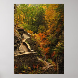 Affiche Automne en parc d'état de Treman