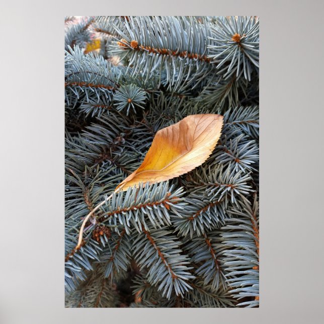 Affiche automne et hiver (Devant)